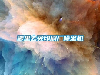 行业新闻哪里去买印刷厂除湿机