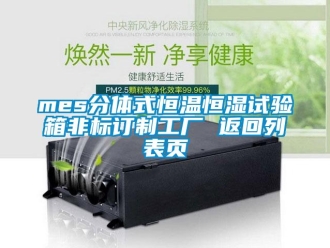 常见问题mes分体式恒温恒湿试验箱非标订制工厂 返回列表页