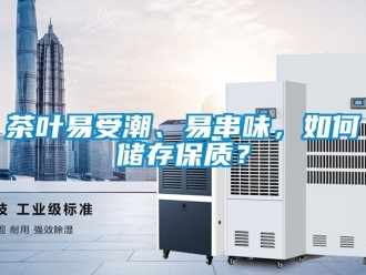 常见问题茶叶易受潮、易串味，如何储存保质？