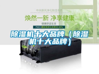 企业新闻除湿机十大品牌（除湿机十大品牌）