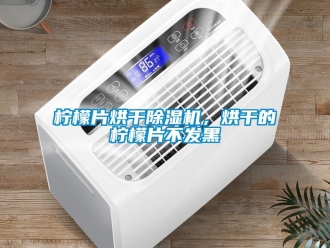 行业新闻柠檬片烘干除湿机，烘干的柠檬片不发黑