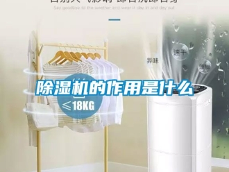 企业新闻除湿机的作用是什么