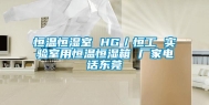 恒温恒湿室 HG／恒工 实验室用恒温恒湿箱 厂家电话东莞