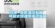 合肥 高低温试验箱 可程式恒温恒湿试验箱