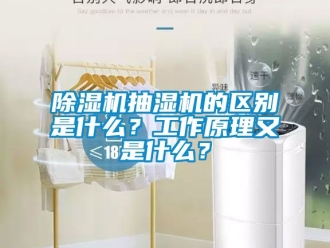 企业新闻除湿机抽湿机的区别是什么？工作原理又是什么？