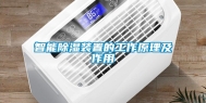 智能除湿装置的工作原理及作用