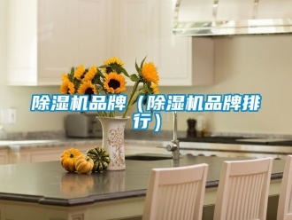企业新闻除湿机品牌（除湿机品牌排行）