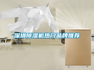 企业新闻深圳除湿机热门品牌推荐