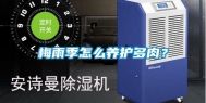 梅雨季怎么养护多肉？