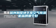 杭州别墅地下室空气除湿机品牌哪个好