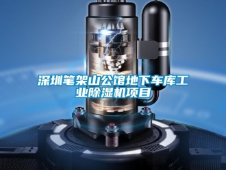 常见问题深圳笔架山公馆地下车库工业除湿机项目