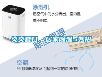 知识百科炎炎夏日，居家除湿5妙招