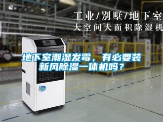 常见问题地下室潮湿发霉，有必要装新风除湿一体机吗？