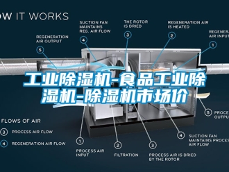 常见问题工业除湿机-食品工业除湿机-除湿机市场价