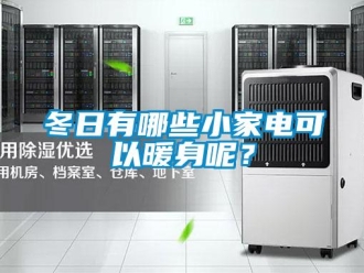 企业新闻冬日有哪些小家电可以暖身呢？