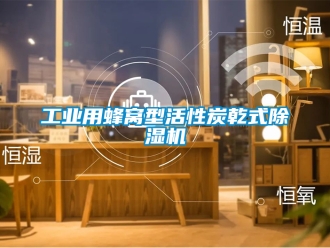 常见问题工业用蜂窝型活性炭乾式除湿机