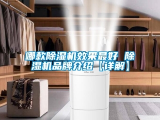 企业新闻哪款除湿机效果最好 除湿机品牌介绍【详解】