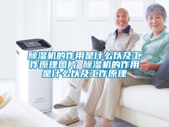 企业新闻除湿机的作用是什么以及工作原理图片 除湿机的作用是什么以及工作原理