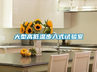 常见问题大型高低温步入式试验室