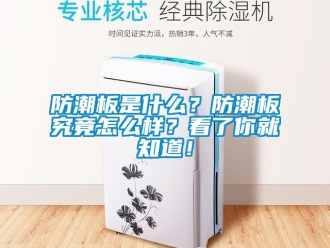 常见问题防潮板是什么？防潮板究竟怎么样？看了你就知道！