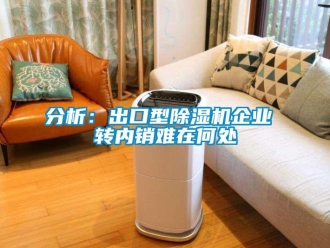 企业新闻分析：出口型除湿机企业 转内销难在何处