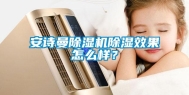 安诗曼除湿机除湿效果怎么样？