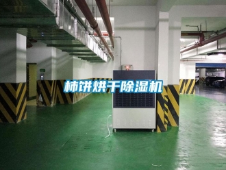 知识百科柿饼烘干除湿机