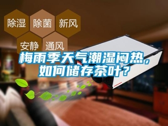 常见问题梅雨季天气潮湿闷热，如何储存茶叶？