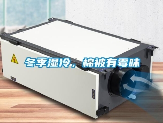 企业新闻冬季湿冷，棉被有霉味