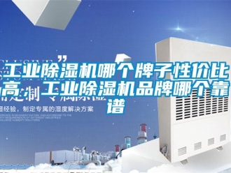 企业新闻工业除湿机哪个牌子性价比高，工业除湿机品牌哪个靠谱