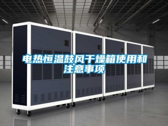 知识百科电热恒温鼓风干燥箱使用和注意事项
