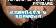 除湿器有什么作用 除湿器有哪些品牌