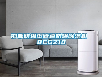 企业新闻邯郸防爆型管道防爆除湿机 BCGZ10