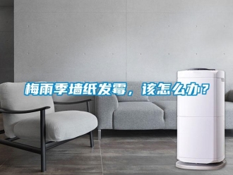 常见问题梅雨季墙纸发霉，该怎么办？