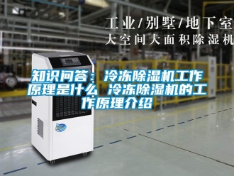 行业新闻知识问答：冷冻除湿机工作原理是什么 冷冻除湿机的工作原理介绍