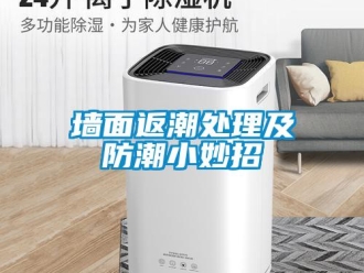常见问题墙面返潮处理及防潮小妙招
