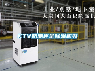 常见问题KTV防潮还是除湿机好