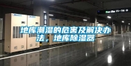 地库潮湿的危害及解决办法，地库除湿器