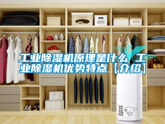 常见问题工业除湿机原理是什么 工业除湿机优势特点【介绍】