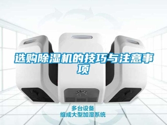 知识百科选购除湿机的技巧与注意事项