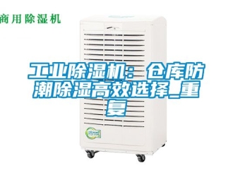 常见问题工业除湿机：仓库防潮除湿高效选择_重复