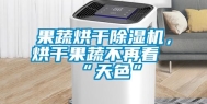 果蔬烘干除湿机，烘干果蔬不再看“天色”