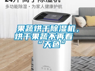 行业新闻果蔬烘干除湿机，烘干果蔬不再看“天色”