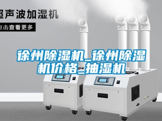 企业新闻徐州除湿机_徐州除湿机价格_抽湿机