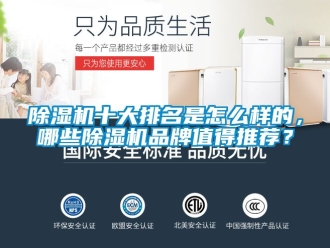 企业新闻除湿机十大排名是怎么样的，哪些除湿机品牌值得推荐？