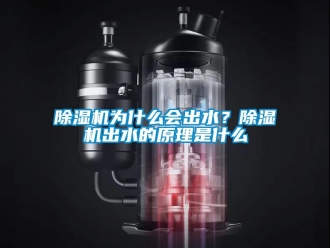 企业新闻除湿机为什么会出水？除湿机出水的原理是什么