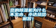 您的除湿机为什么不出水，小达给您解答！