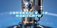 工业除湿机生产厂家，工业除湿机什么牌子好