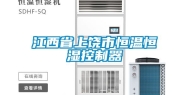江西省上饶市恒温恒湿控制器