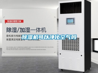 行业新闻除湿机可以净化空气吗